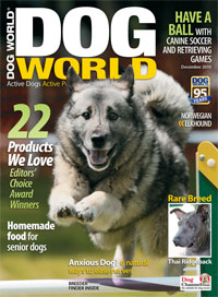 diet magazine dog senior dogs golden years