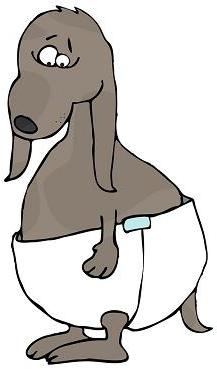 Graphic of dog in diapers