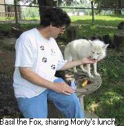 Photo of photographer Monty Sloan with Basil the fox