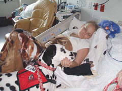 Photo of Armstrong as a therapy dog.